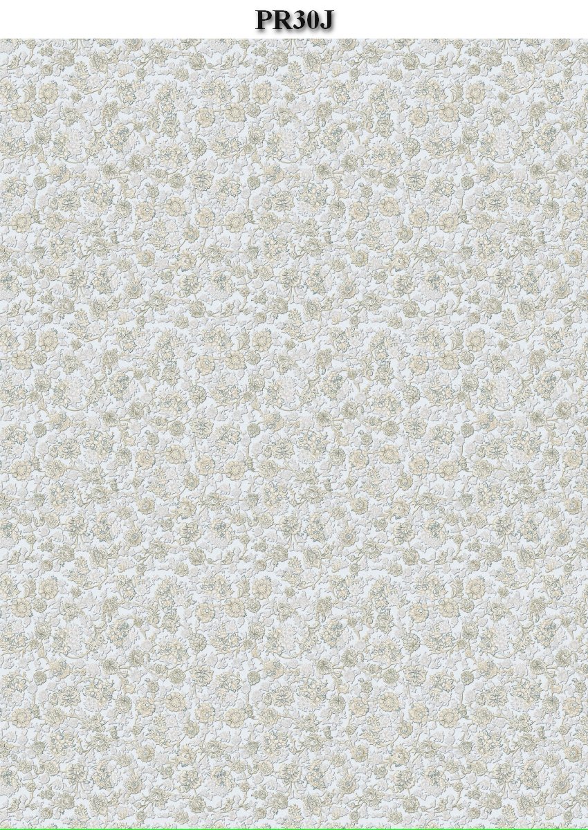 PR30J