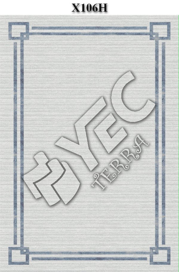 X106H